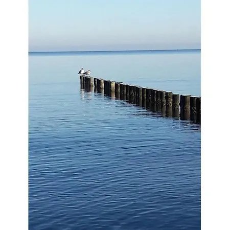 Wave Rider Comfortable Holiday home Glowe